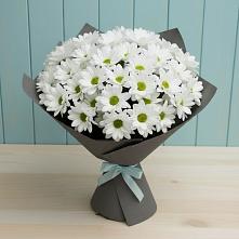 Букет цветов из:  Хризантемы в Тарбагатае